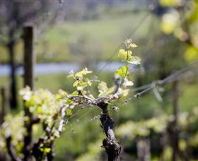 Downing Estate - Sunshine Coast Guide 0
