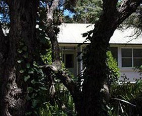 Anglesea VIC Sunshine Coast Guide