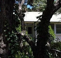 Melaleuca Gallery - Sunshine Coast Guide