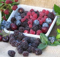 Bright Berry Farms - Sunshine Coast Guide