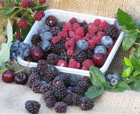 Bright Berry Farms - Sunshine Coast Guide 0