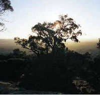Yarra Flats - Sunshine Coast Guide