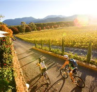 Boyntons Feathertop Winery - Sunshine Coast Guide