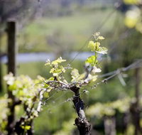 Norton Estate Wines - Sunshine Coast Guide