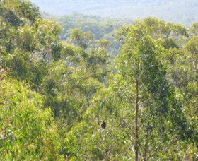 Bunyip State Park - Sunshine Coast Guide 0