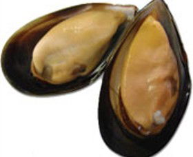 Sea Bounty - Sunshine Coast Guide 0