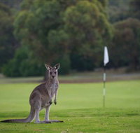 Anglesea Golf Club - Sunshine Coast Guide