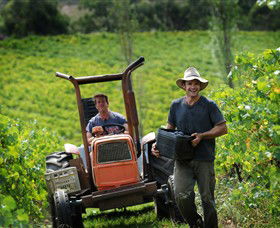 Kellybrook Winery & Kelly Brothers Cider - Sunshine Coast Guide 0