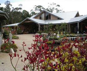 Kuranga Native Nursery And Paperbark Cafe - Sunshine Coast Guide 0