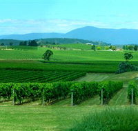 Acacia Ridge Vineyard - Sunshine Coast Guide