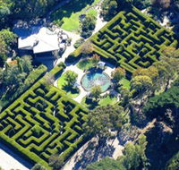 Ashcombe Maze  Lavender Gardens - Sunshine Coast Guide