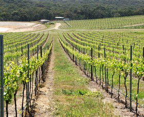 M Chapoutier Australia - Sunshine Coast Guide 0