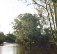 Banksia Park - Sunshine Coast Guide