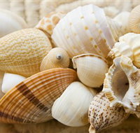 Anglesea Beach Club - Sunshine Coast Guide
