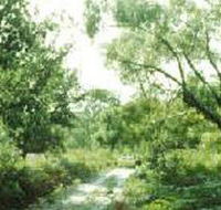 Holey Plains State Park - Sunshine Coast Guide