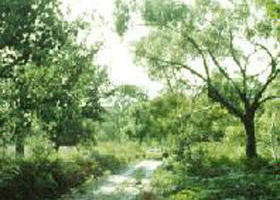Holey Plains State Park - Sunshine Coast Guide 0