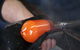 Healesville Glass Blowing Studio - thumb 0