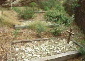 Collins Settlement Historic Site - Sunshine Coast Guide 0