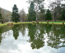 Mountain Fresh Trout And Salmon Farm - Sunshine Coast Guide 0