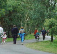 Birrarrung Park - Sunshine Coast Guide