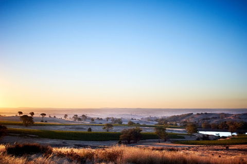 Fowles Wine - Sunshine Coast Guide 0