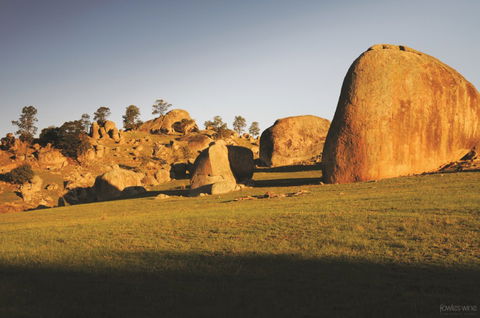 Fowles Wine - Sunshine Coast Guide 3