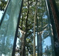 Sydney Sculpture Walk - Sunshine Coast Guide