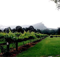Cambewarra Estate Wines - Sunshine Coast Guide