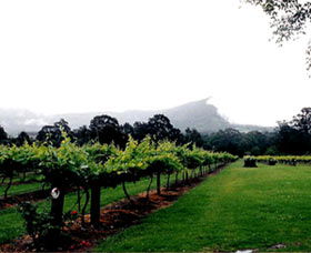 Cambewarra Estate Wines - Sunshine Coast Guide 0
