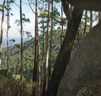 Gulaga National Park - Sunshine Coast Guide