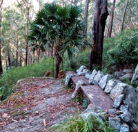 Wodi Wodi Walking Track - Sunshine Coast Guide