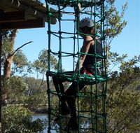 Trees Adventure Shoalhaven - Sunshine Coast Guide