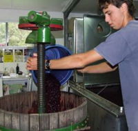 Fern Gully Winery - Sunshine Coast Guide