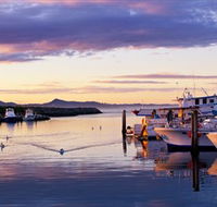 Bermagui Fishermens Wharf - Sunshine Coast Guide
