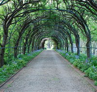 Foxglove Spire Gardens - Sunshine Coast Guide