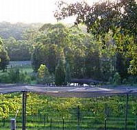 Lyrebird Ridge Organic Winery - Sunshine Coast Guide