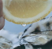 Pearly Oyster Bar and Farm - Sunshine Coast Guide