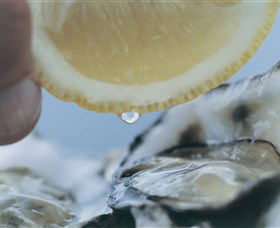 Pearly Oyster Bar And Farm - Sunshine Coast Guide 0