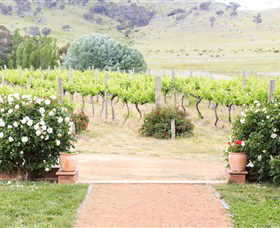 Brindabella Hills Winery - Sunshine Coast Guide 0