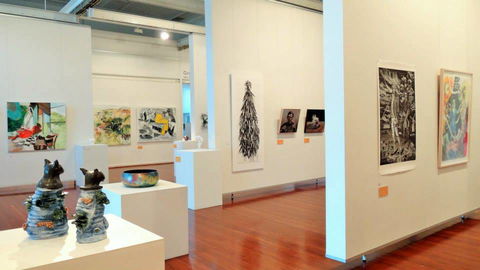 Muswellbrook Regional Arts Centre - Sunshine Coast Guide 5