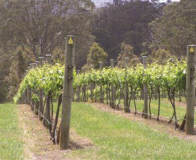 Diamond Creek Estate Cellar Door - Sunshine Coast Guide 2