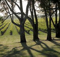 Henry's Drive Vignerons - Sunshine Coast Guide