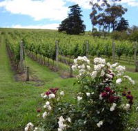 Pembroke Estate Vineyard - Sunshine Coast Guide