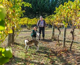 Little River Wines Of Taggerty - Sunshine Coast Guide 0