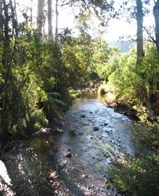 Little River Wines Of Taggerty - Sunshine Coast Guide 5
