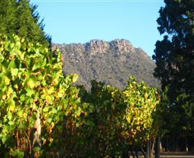 Little River Wines Of Taggerty - Sunshine Coast Guide 6