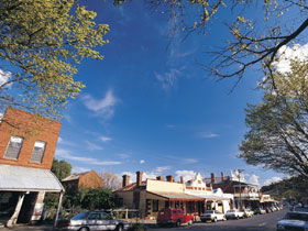 Drysdale Cheeses - Sunshine Coast Guide 1
