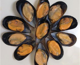 Advance Mussel Supply - Sunshine Coast Guide 3