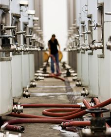 Punt Road Winery - Sunshine Coast Guide 5