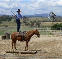 Boggy Creek Shows - Sunshine Coast Guide